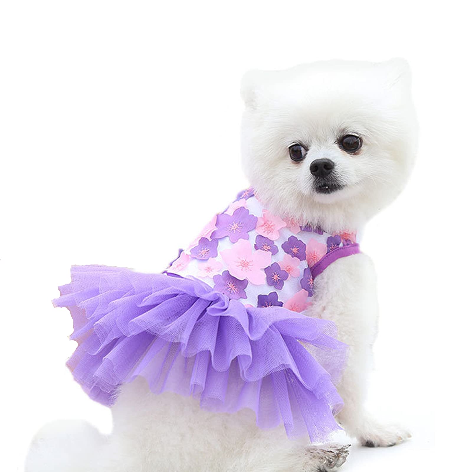 犬服 SS わんこの普段着オレンジとペールブルーの花