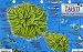 Tahiti Map & Guide to the Polynesian Reef Franko Maps Laminated Fish Card