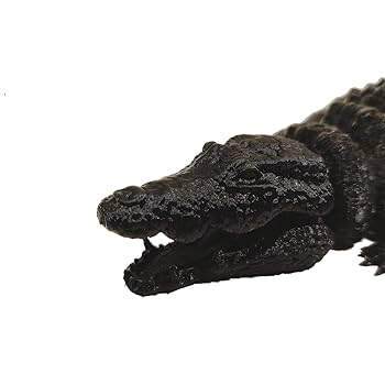 Amazon.com: FlexiMech Crocodile 3d Printed Alligator 11