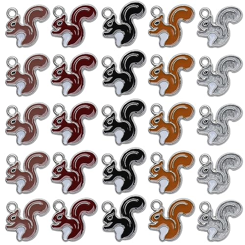 SUNNYCLUE 1 Box 50Pcs Thanksgiving Charms Squirrel Charms Bulk Squirrel Charm Christmas Pine Cone Animal Charm Autumn Fall Charms Harvest Charms for jewellery Making Charms Craft Thanksgiving DIY Gift