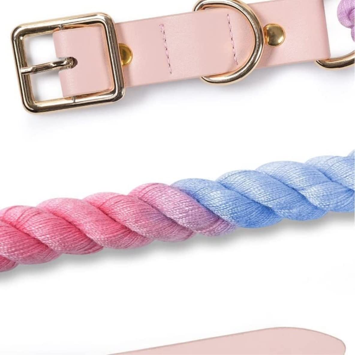 Longe Chien Collier De Chien De Couleur Laisse pour Chien De Compagnie Convient Aux Petits, Moyens Et Grands Chiens Corde De Marche Extérieure Ceinture Chien(A,35-41cm)