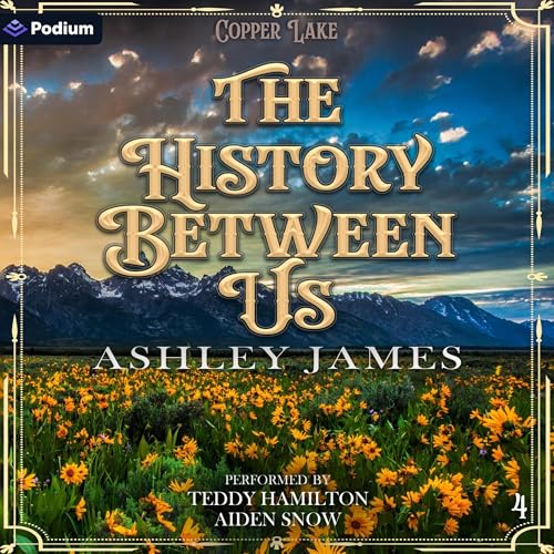 The History Between Us Titelbild