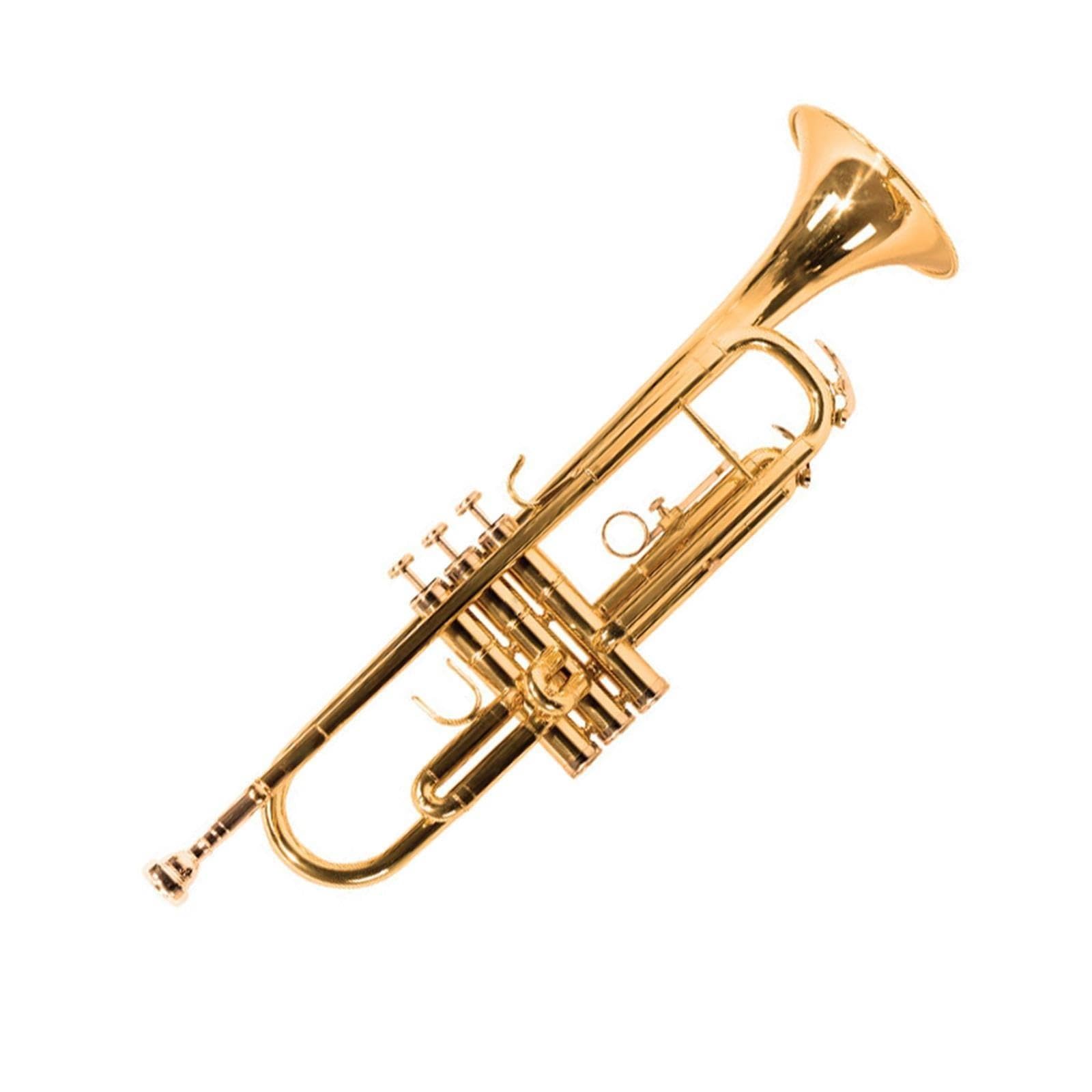 Adult Trumpet Trompette professionnelle en si bémol