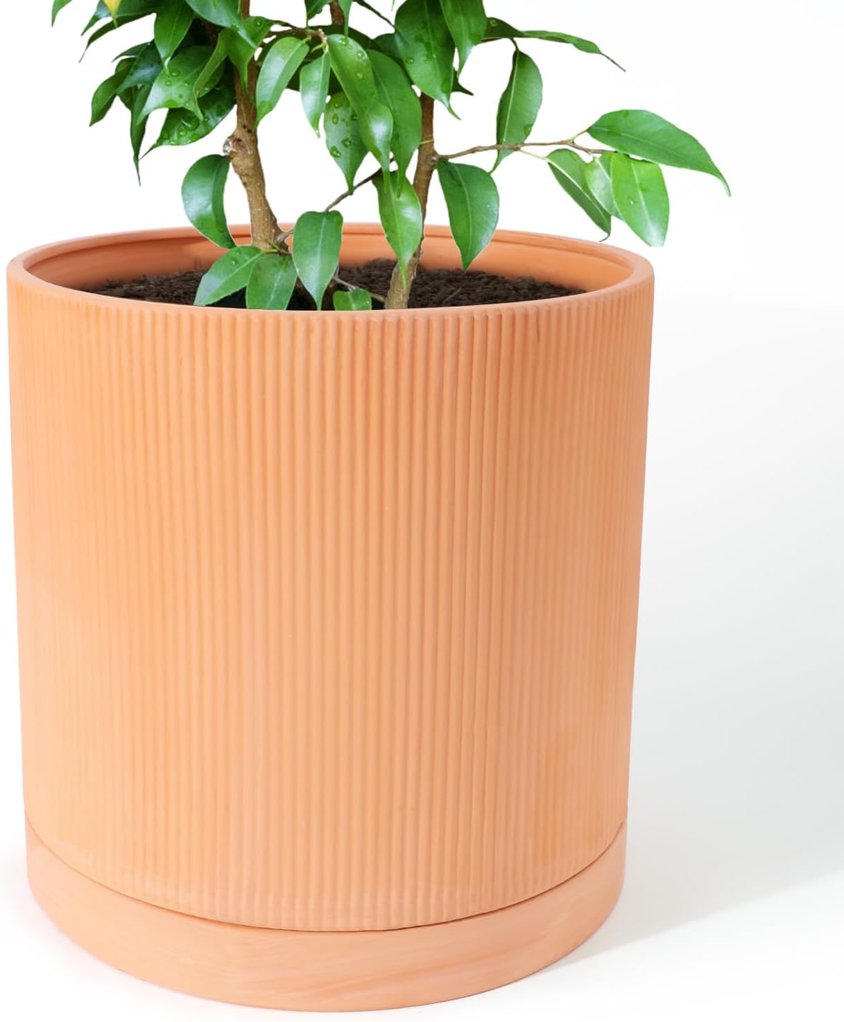 Terracotta Pots 12 Inch Terracotta Watering Pots Large Terracotta Plant Pot with Drainage Hole and Saucer Terracotta Succulent Planter Pots Round Clay Pots for Horticultural Enthusiasts 12Inch