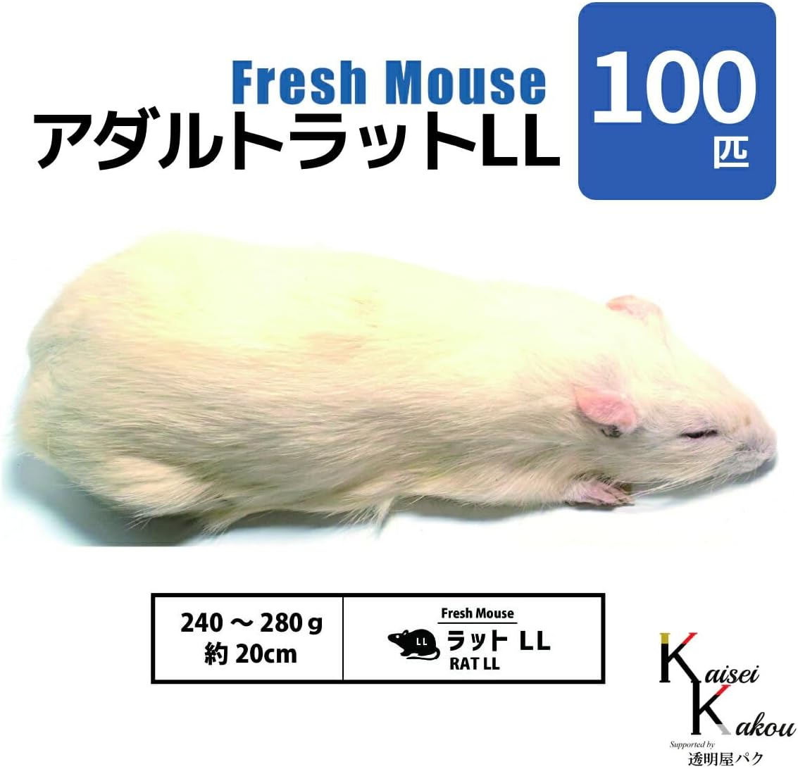 冷凍ラット アダルトLL (240~280g) 20匹 まとめ売り アダルトラットLL 100匹 Biokimia 」 約20cm 240～280g 冷凍マウス
