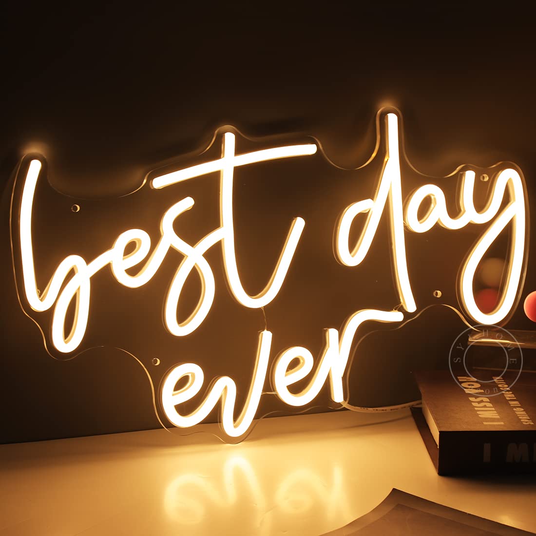 SYLHOME Best Day Ever LED Neon Light Up Sign USB Bedroom Living