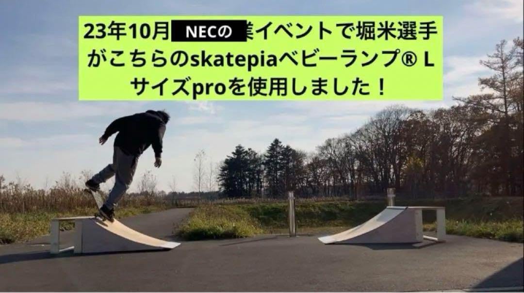 Amazon.co.jp: スケボー ミニランプ組み立てキット L pro片側1台 #堀米  