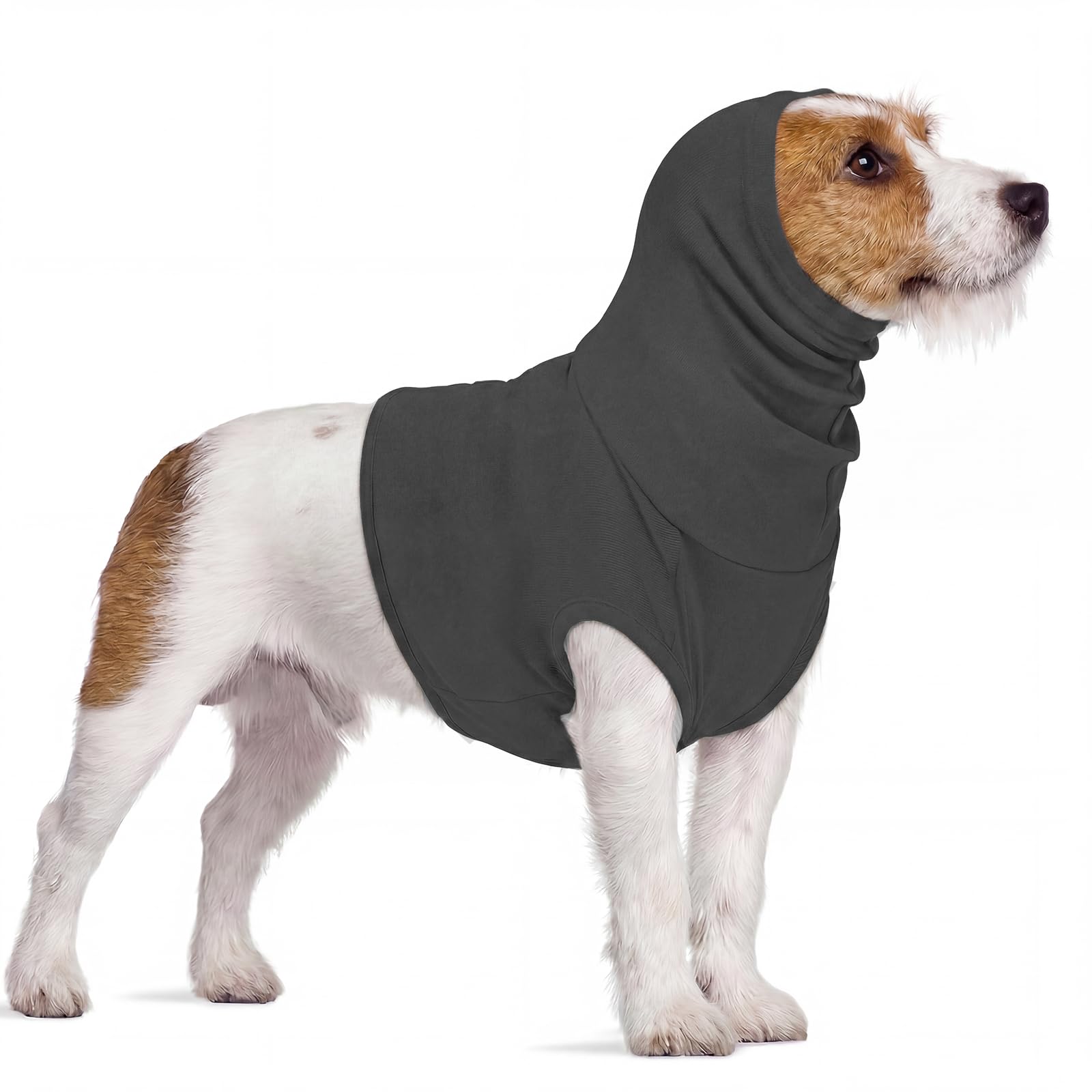 PUMYPOREITY Cat Neck Protector, Cat Surgery Recovery Suit With Neck, Protection After Neck-Operation(Grey, S) — image 1