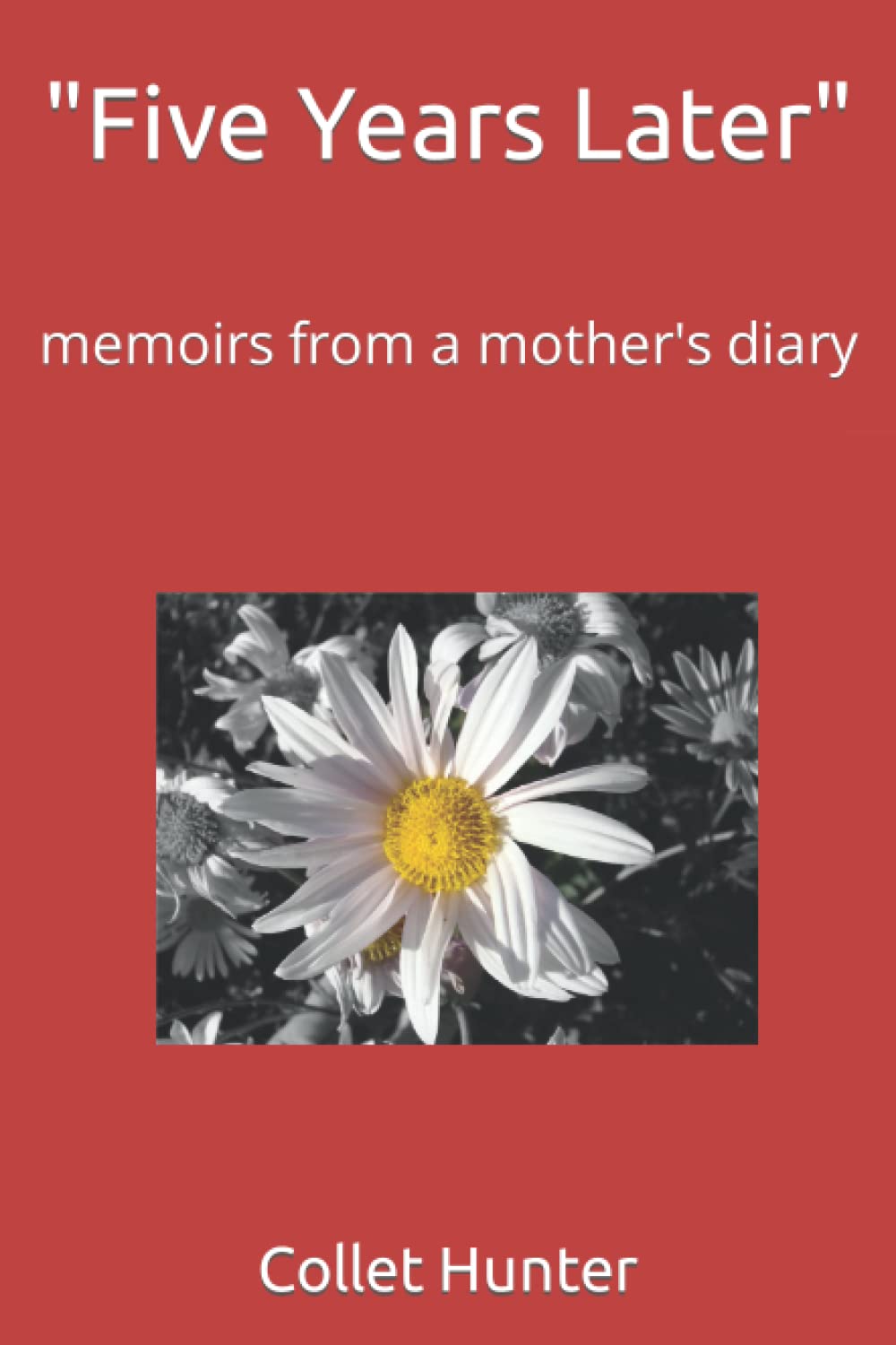 FIVE YEARS LATER: "Memoirs from a mother's diary"
