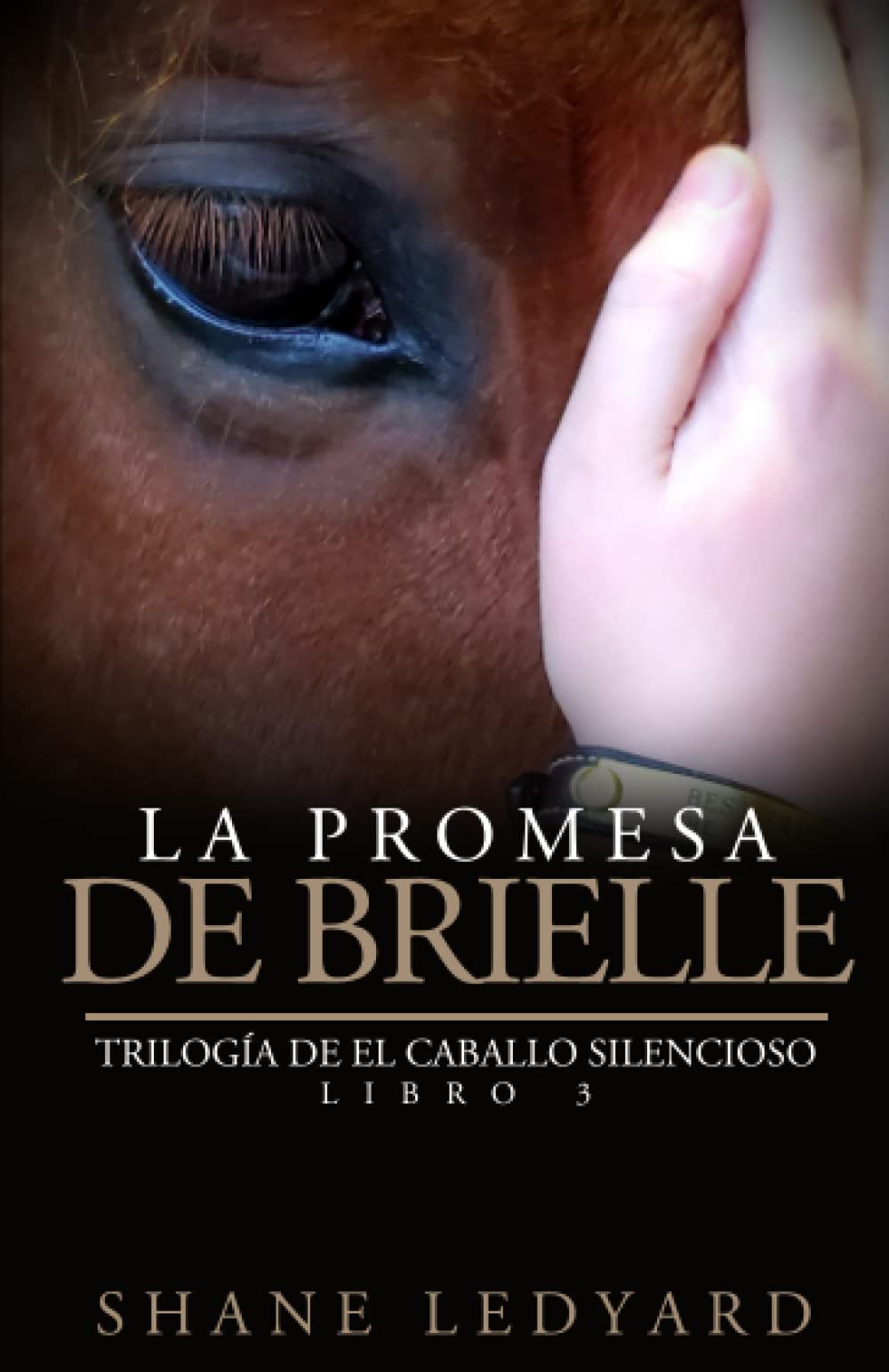 Shane LedyardLa Promesa de Brielle: Trilogía de El Caballo Silencioso Libro 3