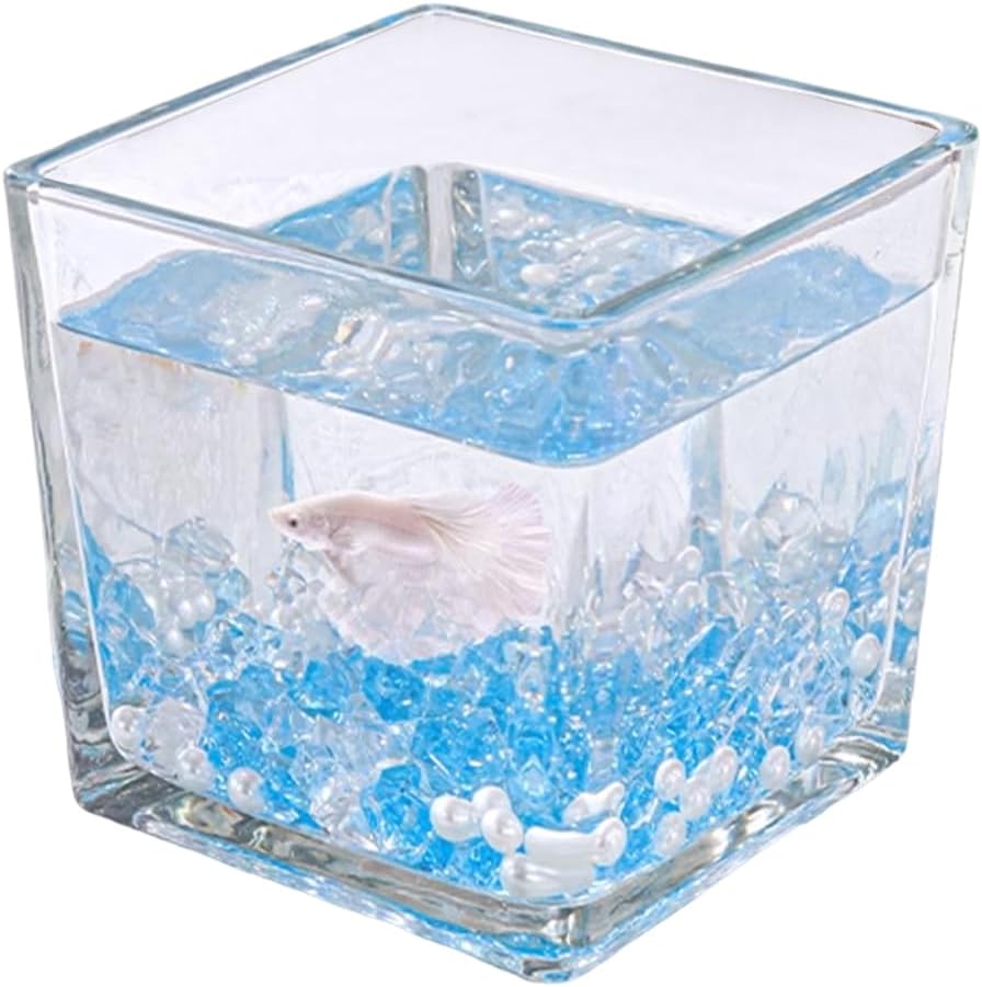 和アジアンテイスト 丸型の陶器の水槽 ベタや金魚やメダカ