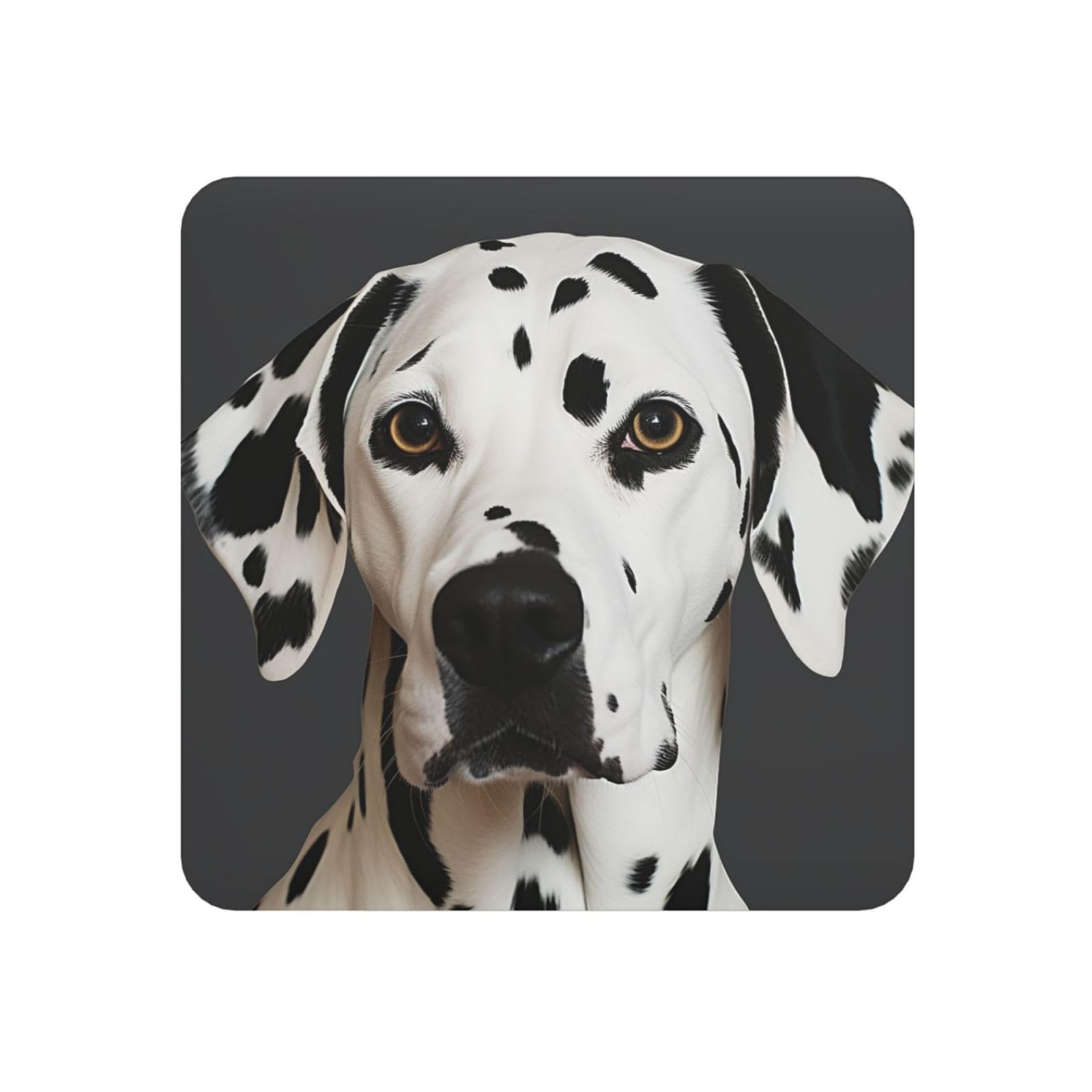 Fodpand Square Dalmatian Fridge Magnets, Strong Small Refrigerator Magnets Decorative Magnets For Kitchen Fridge Office Locker - Funny Magnetic Stickers Birthday Gifts