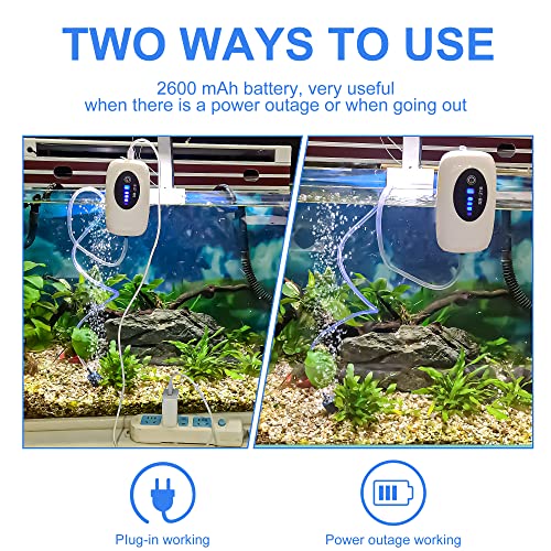 Sunwen Fish Tank Battery Aquarium Air Pump, Rechargeable And Portable, With Air Tube And Air Stone, For Aquariums, Outdoor Fishing And Power Outages (One Outlet, 5-15 Gal Aquarium) #TOP4