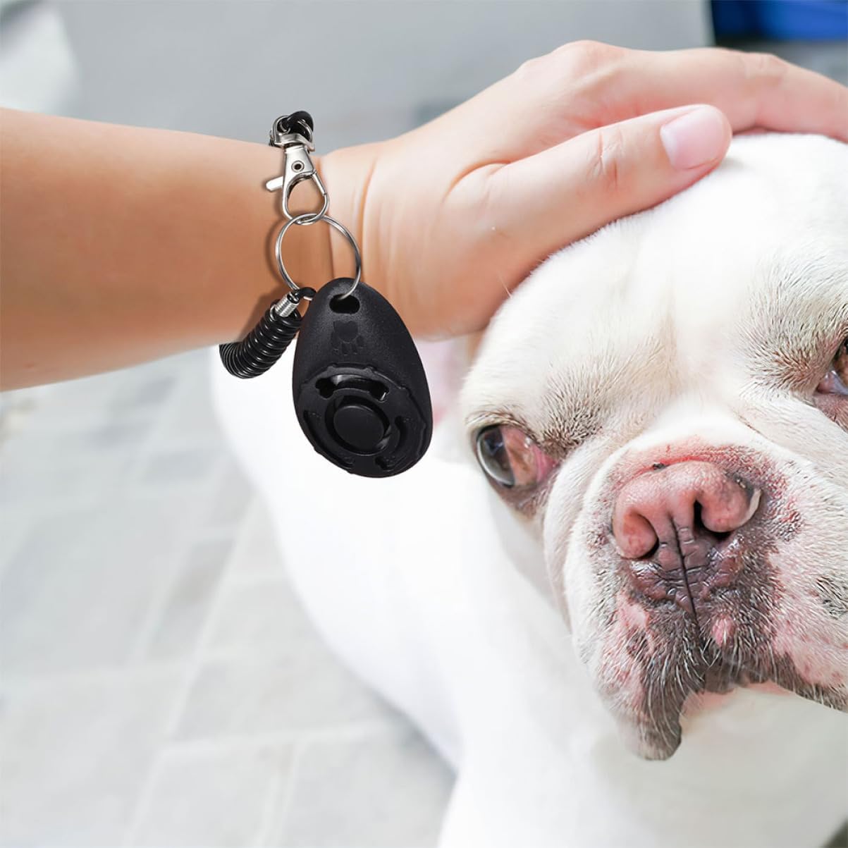 Toddmomy 2pcs Dog Training Clickers Whistle Pet Obedience Training Tool Portable Clicker for Puppy Safe Efficient
