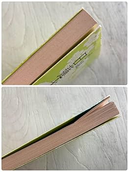 Amazon.co.jp: 小説 日蓮大聖人 第一巻 ◯ 湊邦三 : 楽器・音響機器