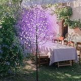 FUCHSUN 6 FT 200 LED Solar Cherry Blossom Tree Light, Lighted Garden Tree Outdoor Pathway Lights for Patio Yard Wedding Festival Home Christmas Decoration (Purple)