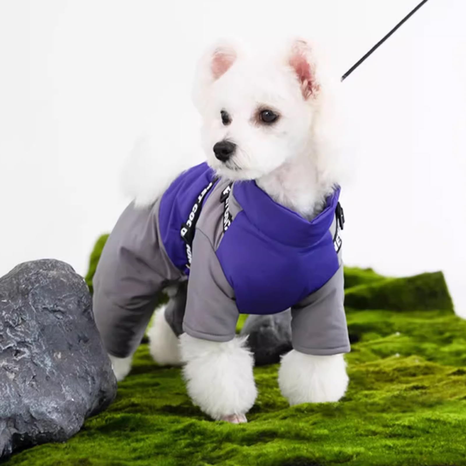 Perro Chaqueta De Invierno con Arnés, De Cuatro Patas Chaqueta De Invierno, Perro Abrigo De Invierno con Cremallera De Cuello Alto Cachorro Chaleco con D-Ring,Púrpura,S
