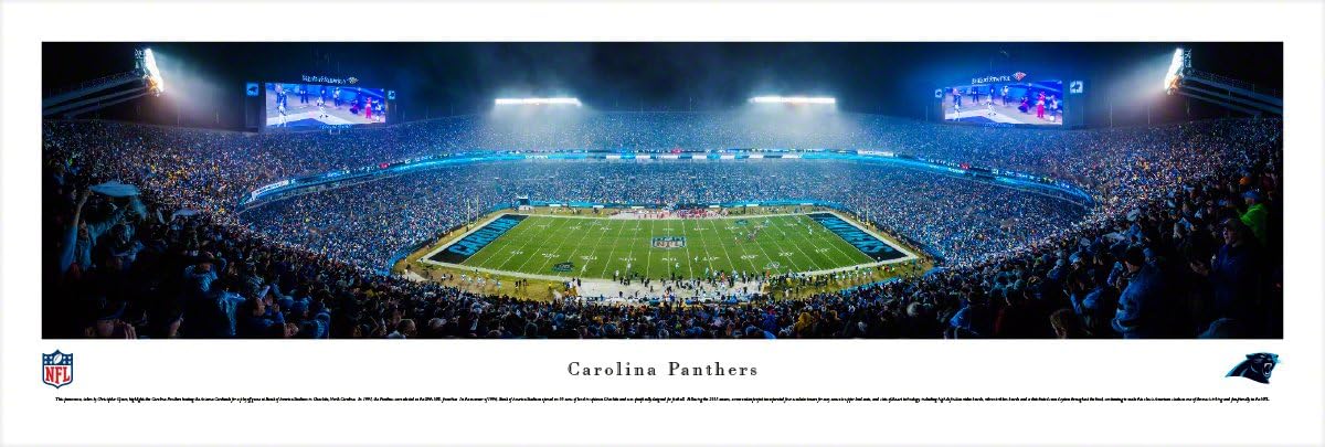 Carolina Panthers - 50 Yard - Blakeway Panoramas NFL Posters