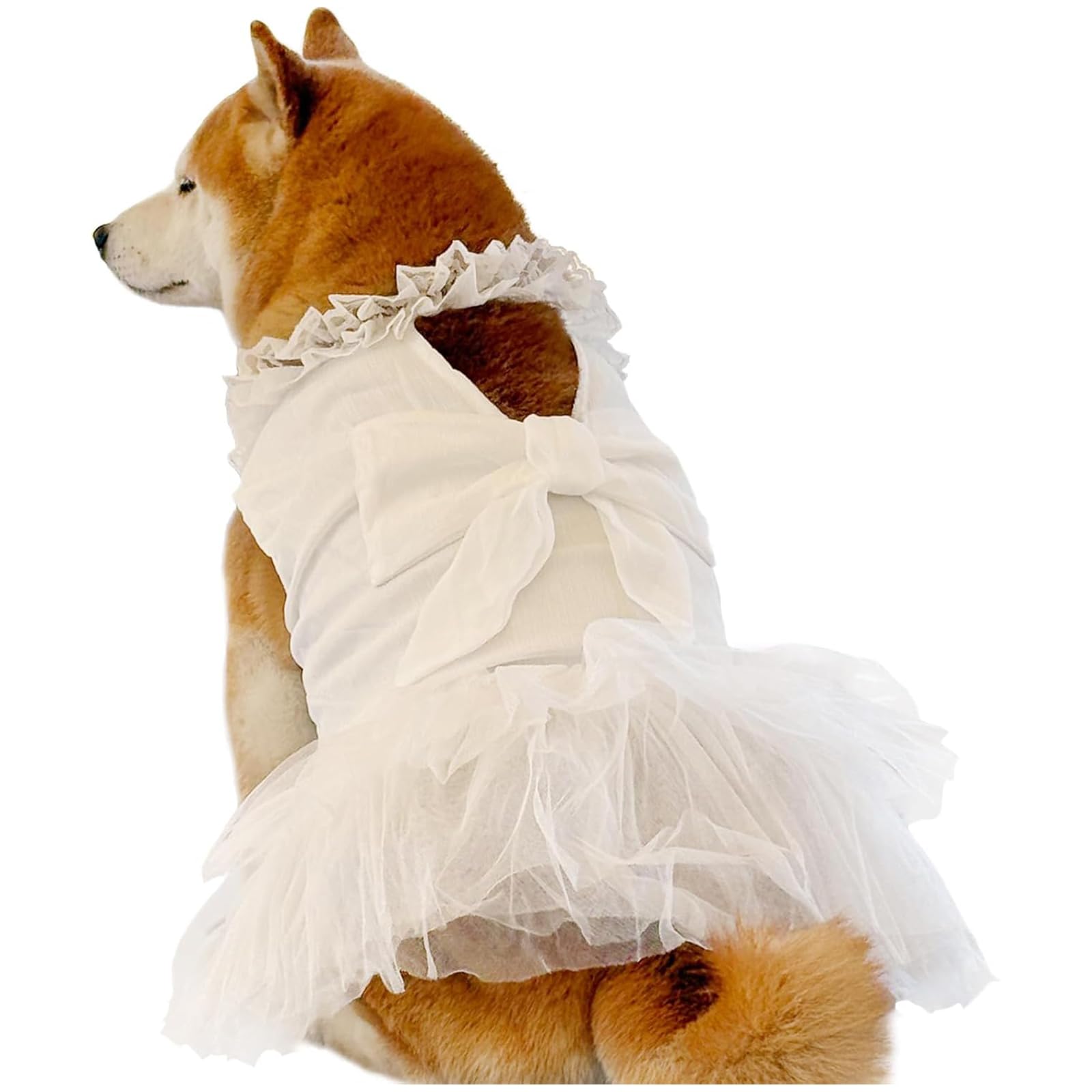 Robe de mariée pour chien avec dentelle et tulle de qualité