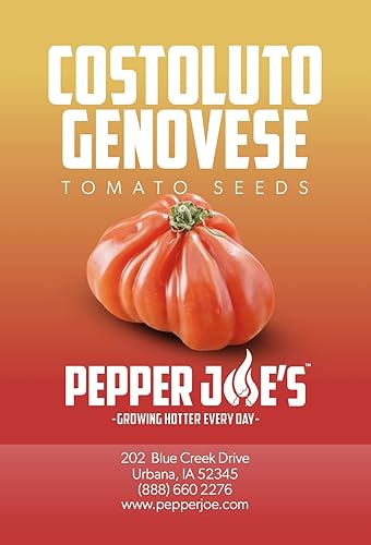 Miniatura 1 de Pepper Joe's Costoluto - Semillas de tomate genovese  Paquete de 20 semillas de tomate tradicionales  Cultivadas en Estados Unidos  Semillas de