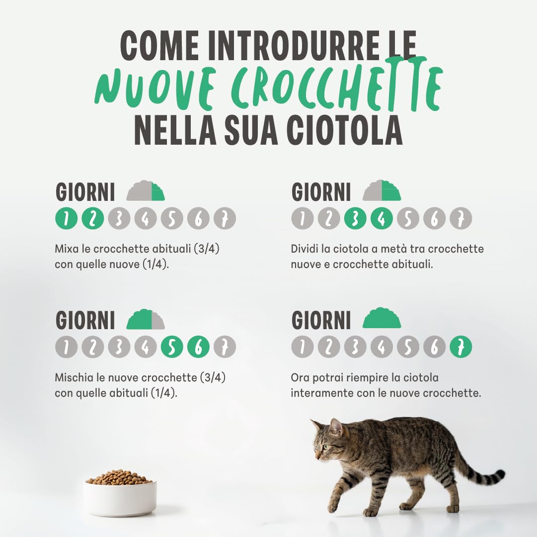 Schesir Animal Monoprotein Sterilized Pollo, Croccantini per Gatti Adulti Sterilizzati, Alimento Secco Monoproteico, Vitamine Aggiunte, Senza Conservanti e Coloranti, 10 kg