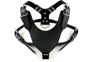 Leather Dog Harness: Security, Comfort for Large Dogs