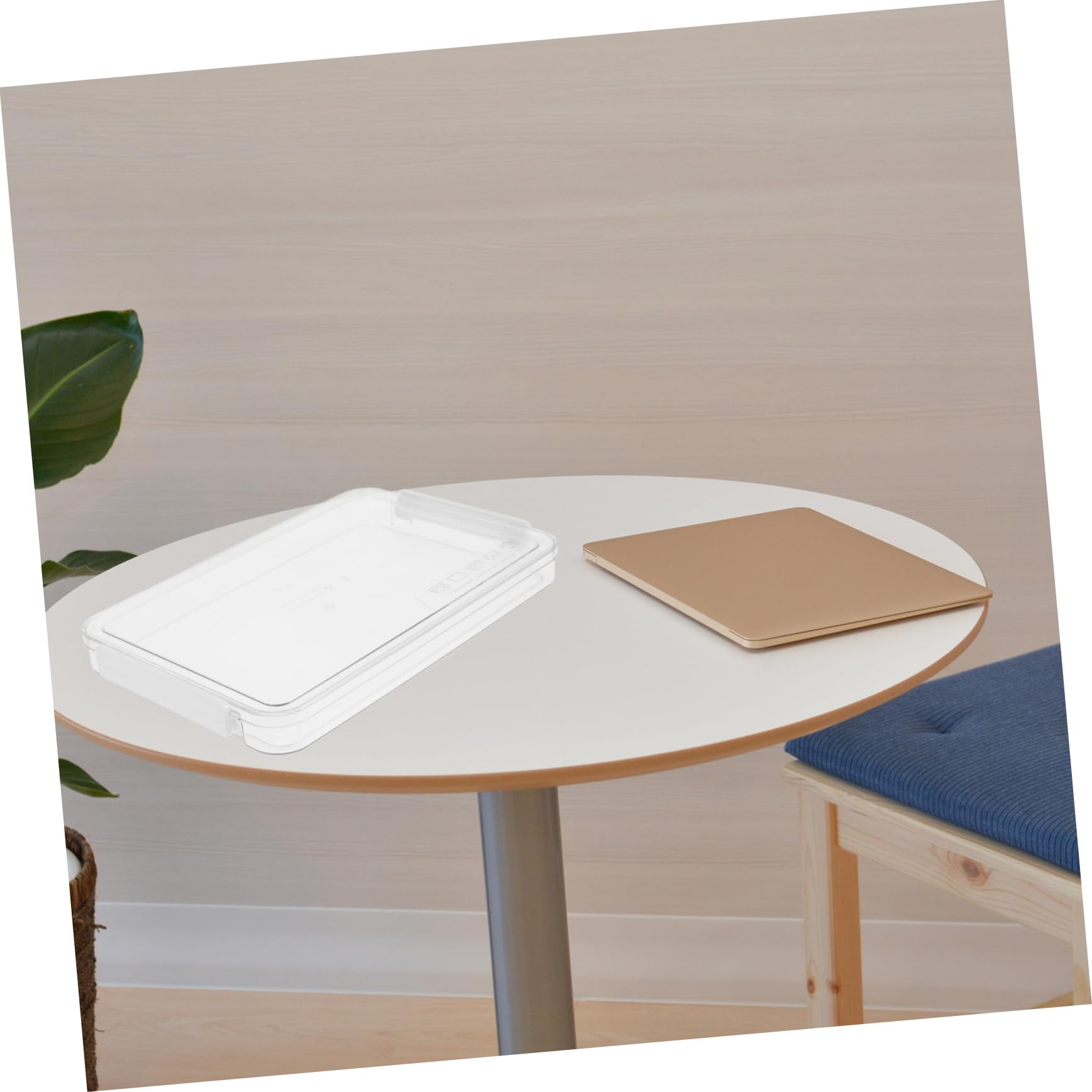 DOITOOL Caja de Archivo Transparente con Tapa 2 Piezas Blanco Pet Abs
