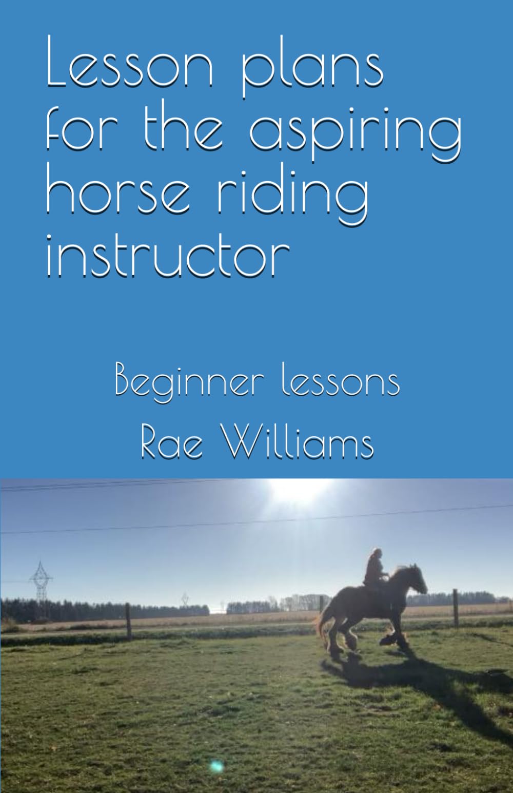 Lesson plans for the aspiring horse riding instructor: Beginner lessons