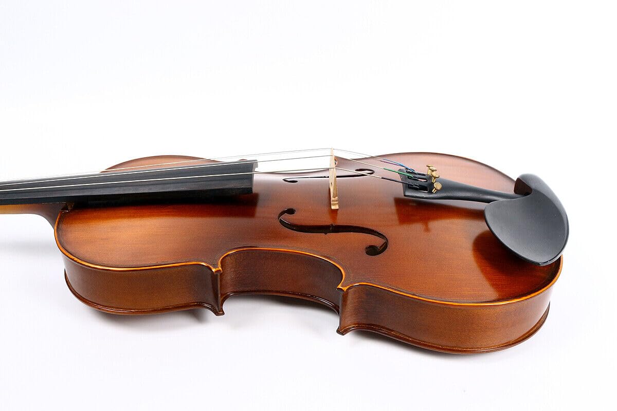 Akustische Viola handgefertigte Bratsche Ahorn Fichte Holz Ebenholz Beschläge Teile mit Koffer Tasche, Bogen (braun-4Str-16,5'')