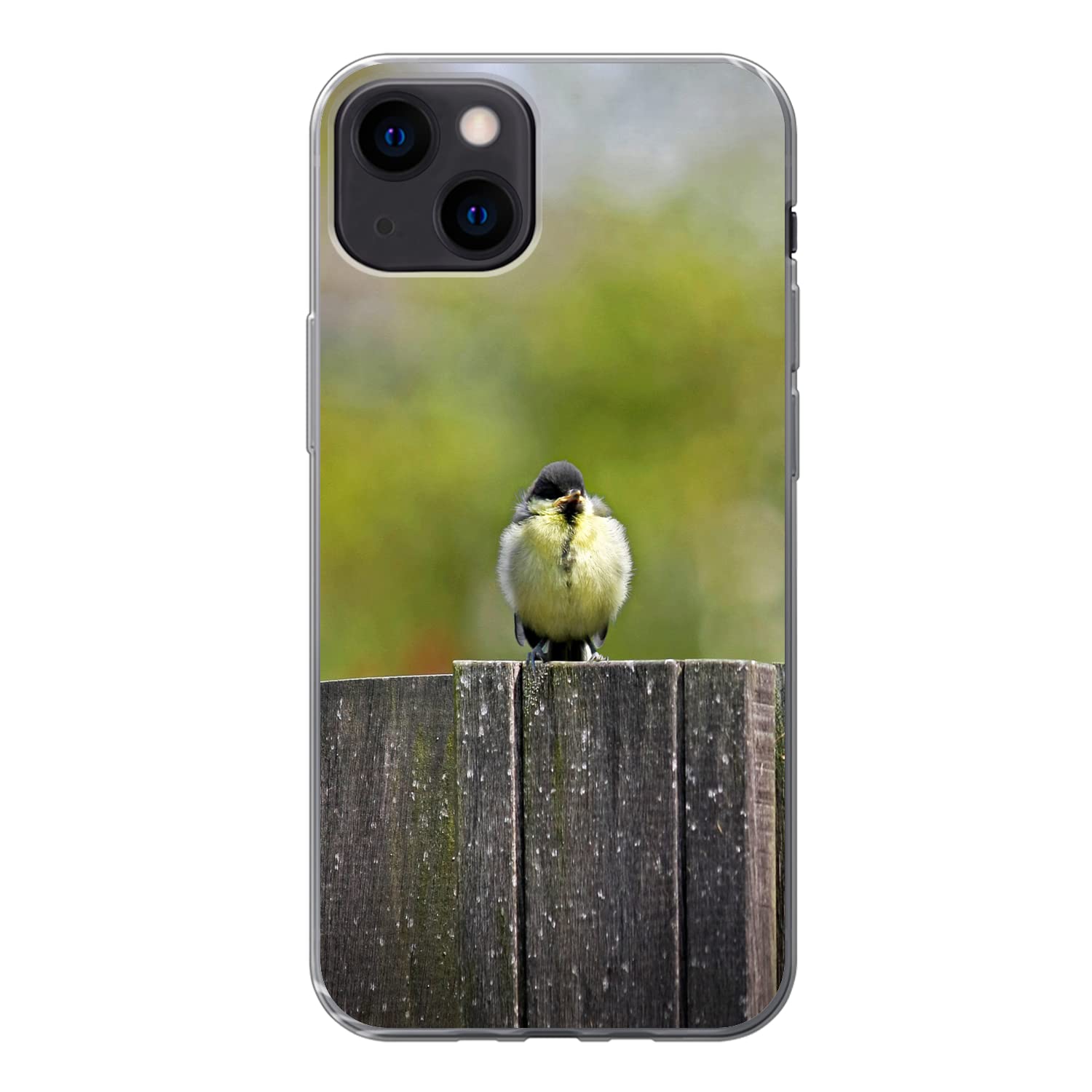 MuchoWow Funda para iPhone 13 - Tres jóvenes Tetas Grandes sentadas en una Valla - Funda de Silicona/Funda Blanda para teléfono móvil