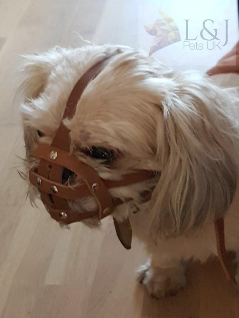 dog muzzle for shih tzu