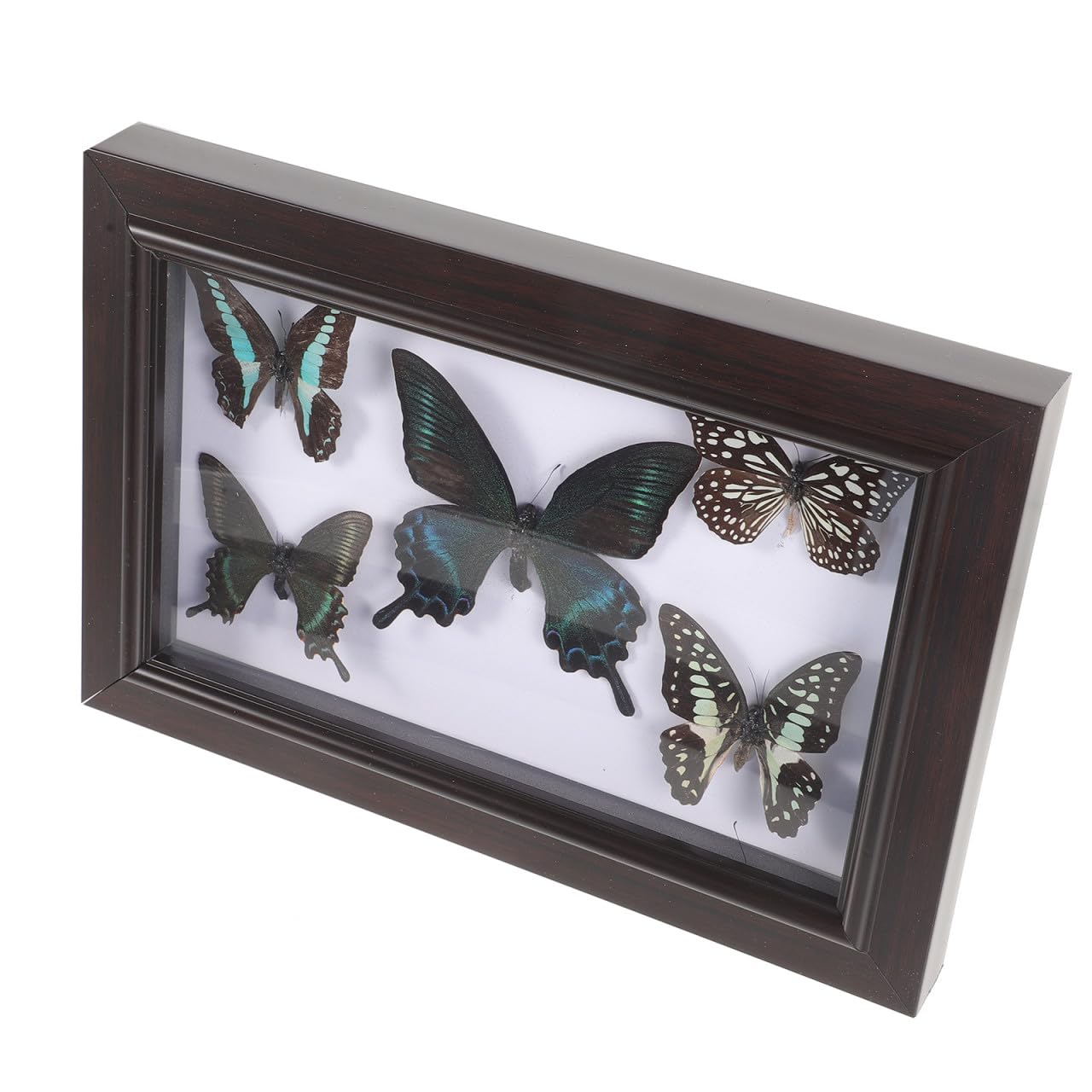 Healeved Marco Madera y Pared decoración para Escritorio con Mariposas Decorativas en Acabado Exquisito Adecuado Adornar Obsequio de Cumpleaños el Hogar
