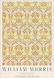 GYTRI CGFHJ Póster de William Morris Impresiones vintage a color《Rama de oro》 Arte mural moderno de William Morris Pintura de lienzo para decoración del hogar 40x60cm sin enmarcar