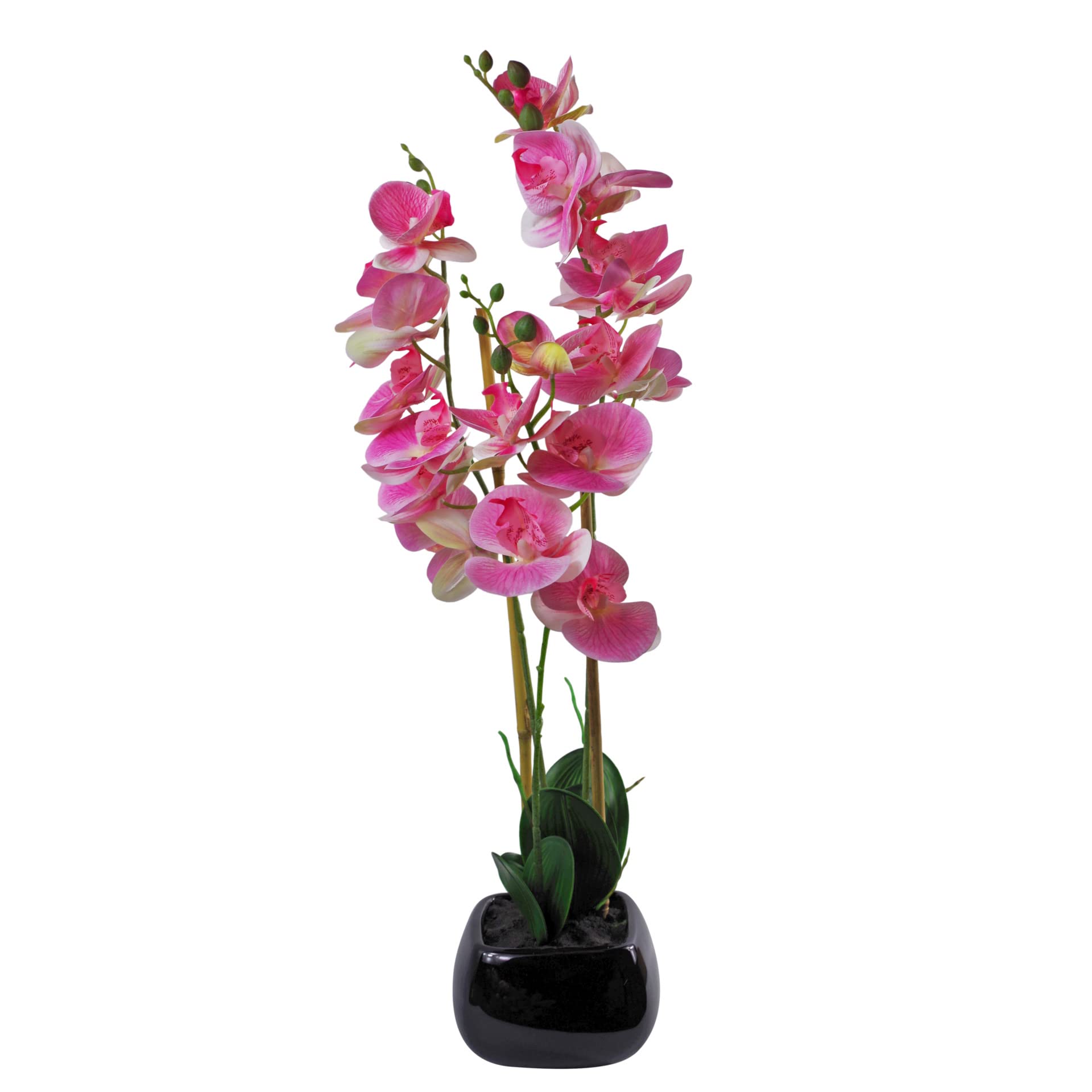 Leaf Artificial Orchid 70cm Pink/Black - Black Ceramic Planter - Real Touch Flowers - Wired Stems