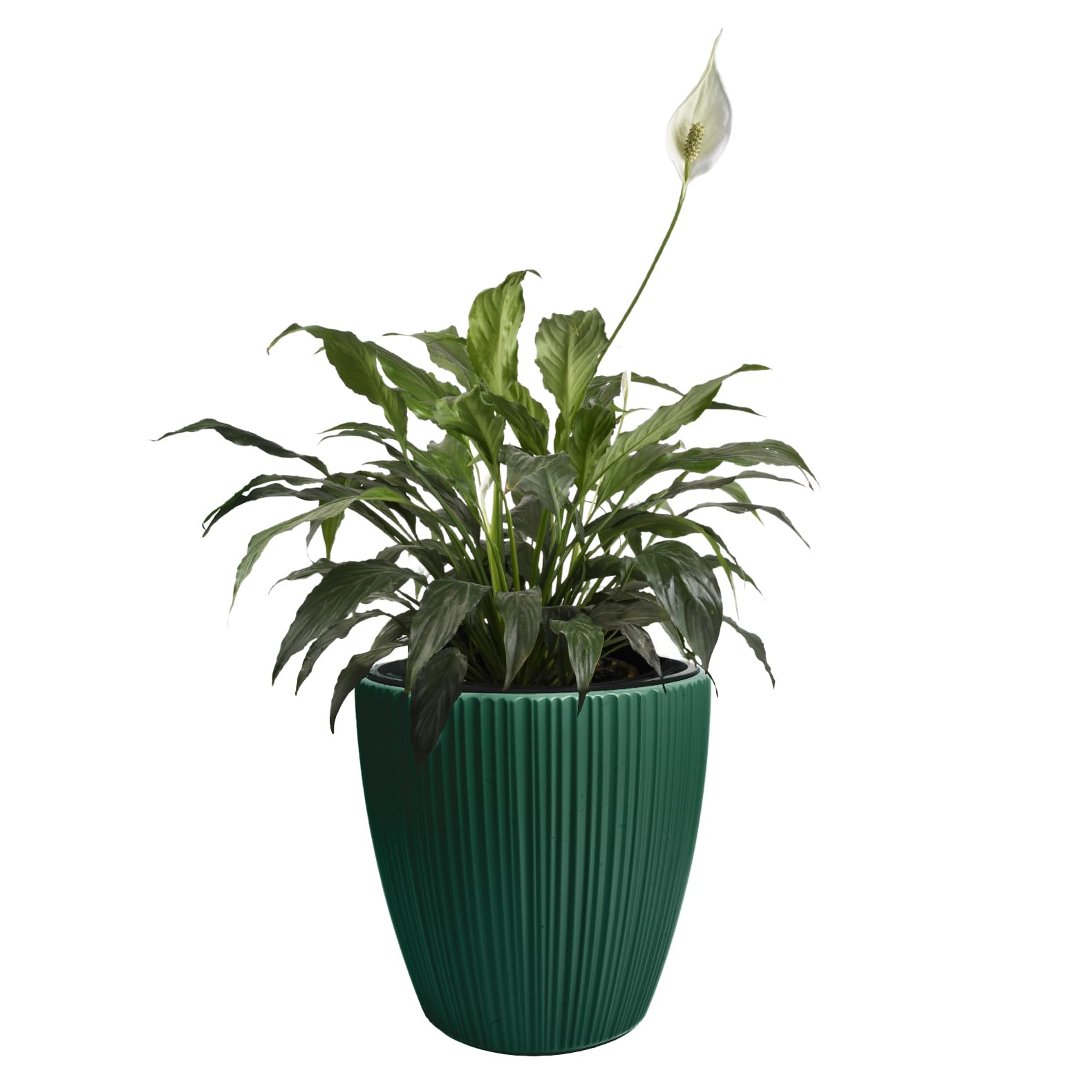 B2C Flowerpot Ridged Planter with removable insert Indoor Outdoor Modern Vertical grooves textured for home office patio garden decoration (Pine Green, W40cm x H40cm)