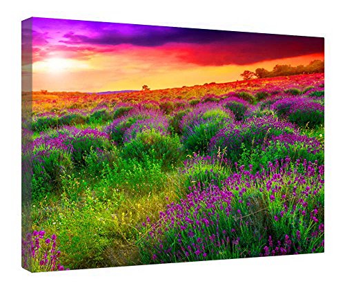 Tableau champ coloré et coucher de soleil pour salon chaleureux - Toile encadrée bois 40x50 cm