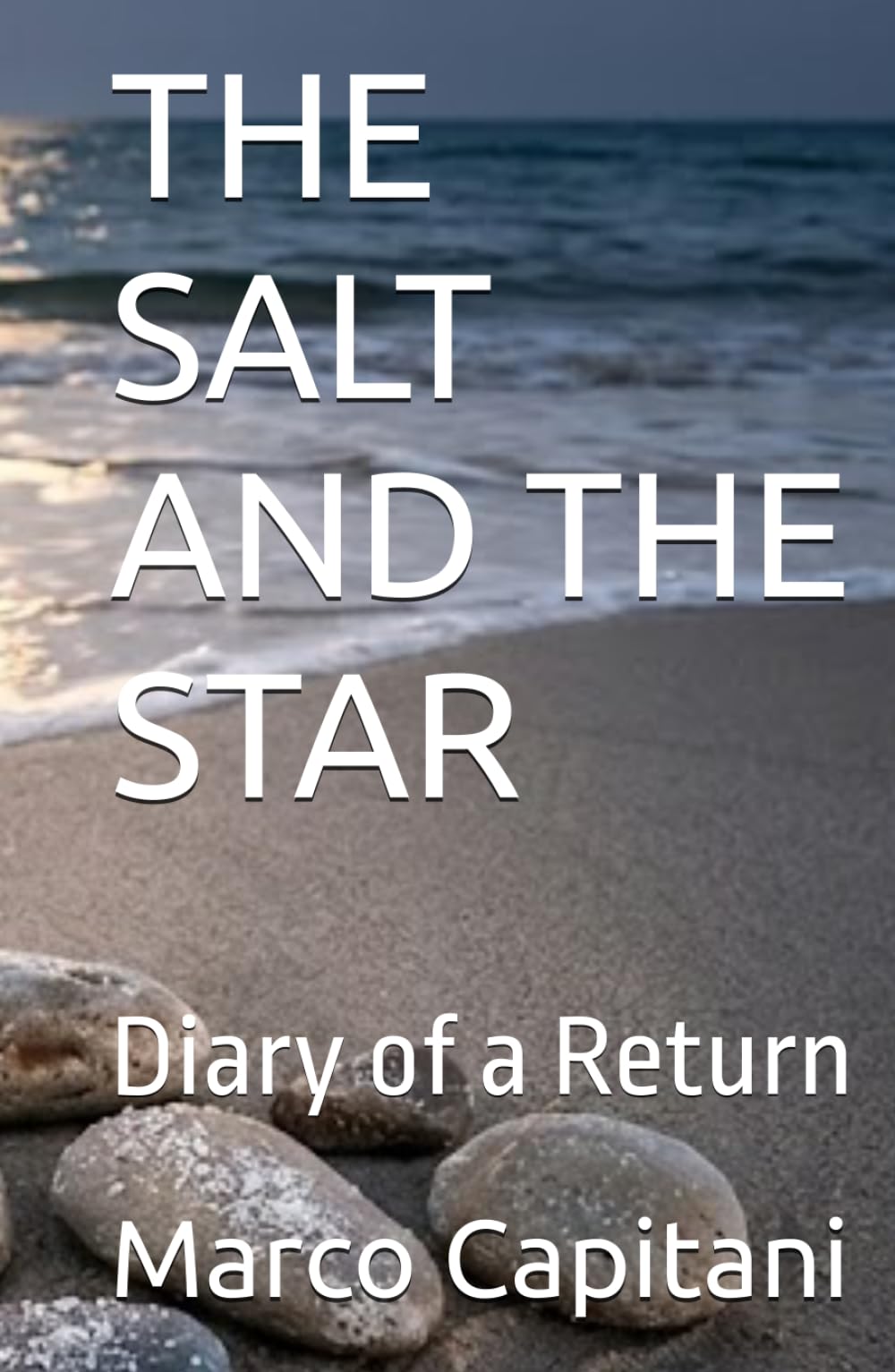 THE SALT AND THE STAR: Diary of a Return (un poeta del nuovo millennio)