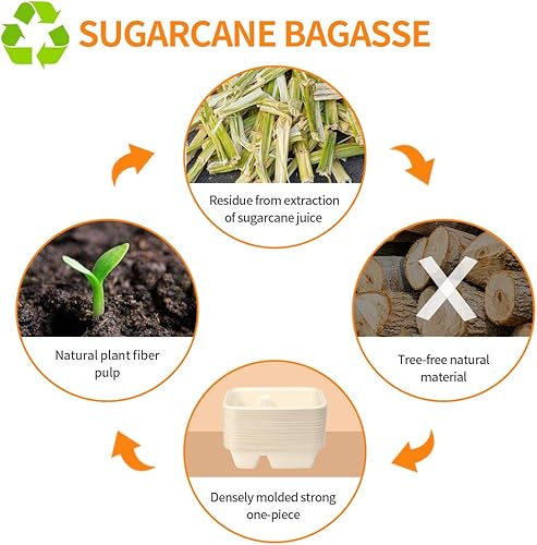 Miniatura 7 de Paquete de 50 tazones de papel con tapas, 2 compartimentos de papel para preparación de comidas y alimentos para llevar con tapas (50 tazones, 50