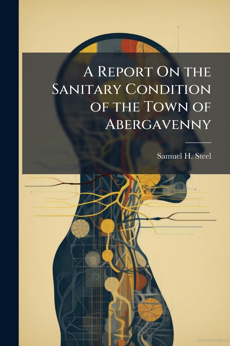 A Report On the Sanitary Condition of the Town of Abergavenny