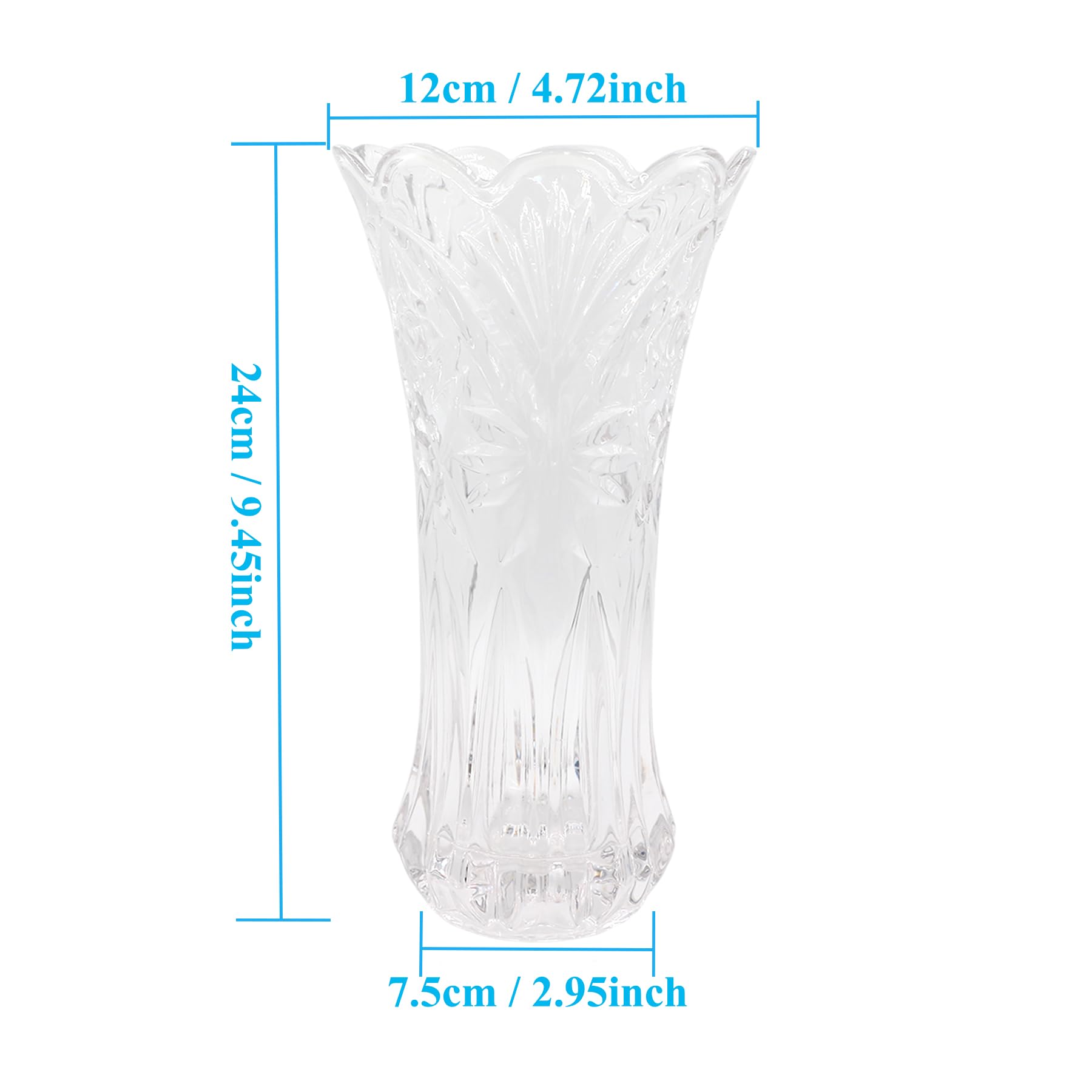 Vase à Fleurs En Verre Clair 24 Cm - Vase Cristal Épaissi Pour Fleurs Séchées, Pampa Et Bouquets