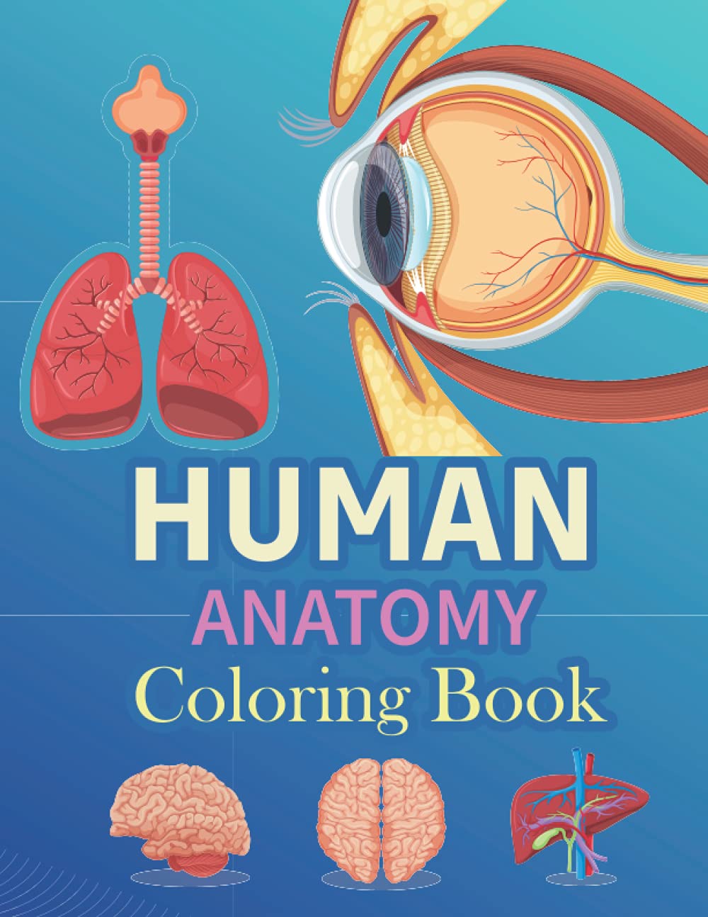 Human Body Anatomy Coloring Book Easy And Simple Human Body