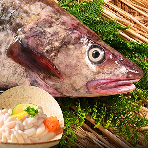 島の人 北海道 礼文島産 生 真鱈 1尾 オス 4.0㎏前後 鱈 真たら 白子 鱈の白子 たち 島の人 北海道 礼文島産 生 真鱈 1尾 オス 4.0㎏前後 鱈 真たら 白子 鱈の白子 たち