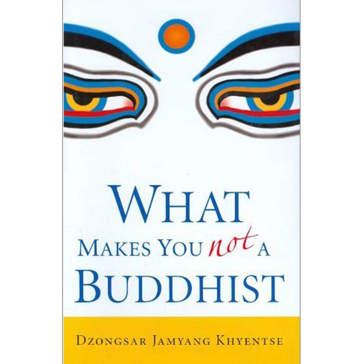 Buy What Makes You Not a Buddhist — BookShops.in