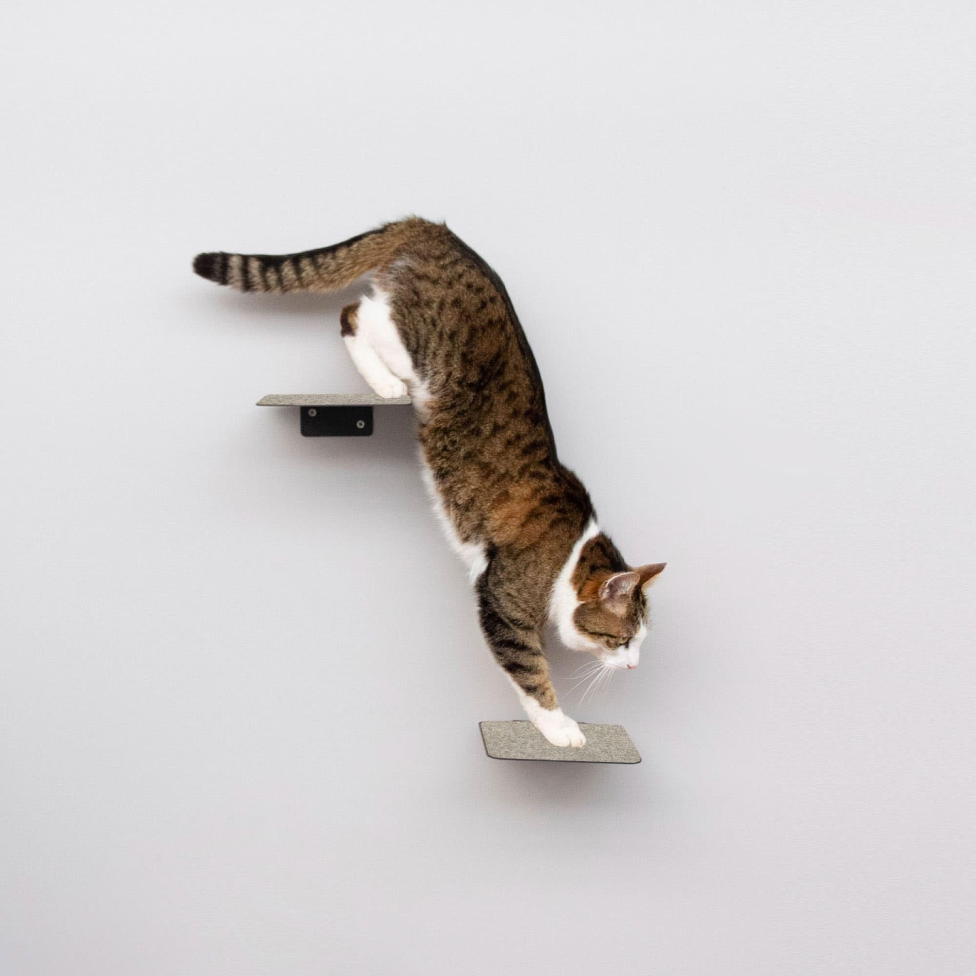 LucyBalu® Steps Katzentreppe mit Filzauflage I Wandstufen aus Metall 3er Set 18 x 18 cm I Katzenleiter für Wand I Filigrane Optik I für Katzen bis 7 kg I Weiß/Sand