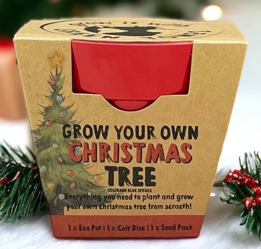 Grow Your Own Christmas Tree Seed Kit - Eco Growing Planting Pack - Gardening Gardener Gift - Family Kids Children Kraft Activity