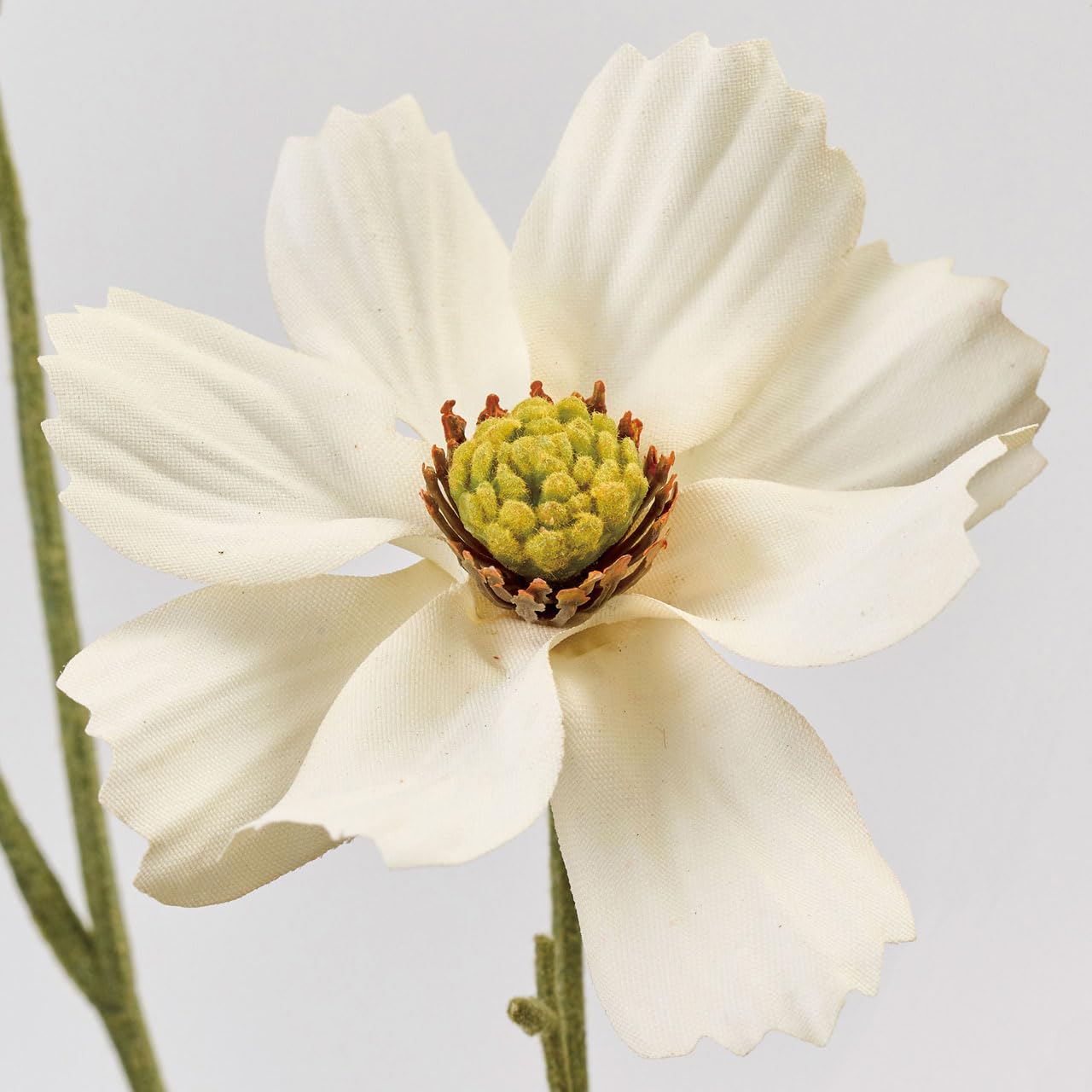 Amazon｜東京堂 造花 MAGIQ テンダーコスモス クリームホワイト