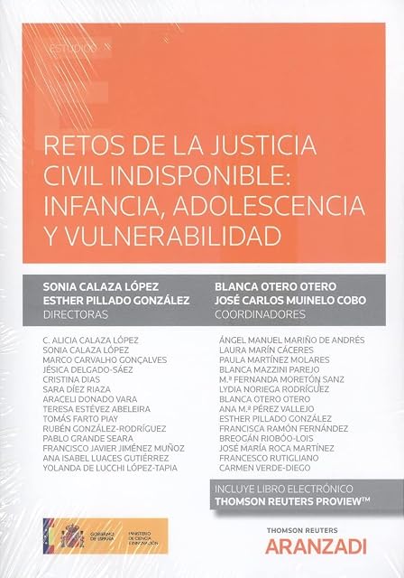 Portada de Retos de la justicia civil indisponible: infancia, adolescencia y vulnerabilidad