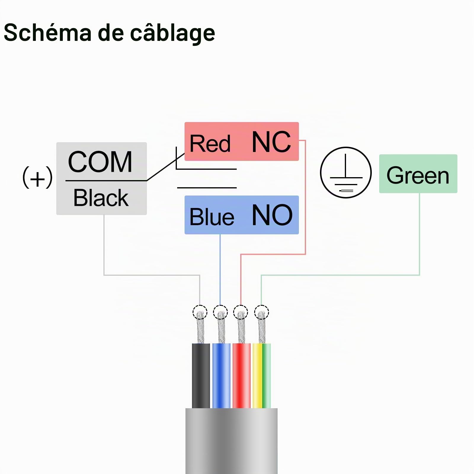 BAOMAIN Interrupteur de Fin de Course Industriel BM-3102 (TZ-3102), Piston à Rouleau en Acier Inoxydable, Étanche IP67, Contact Momentané SPDT (1NO+1NC), Commutateur de Position Robuste