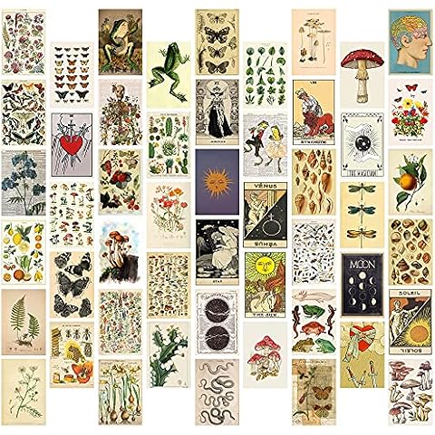 GROBRO7 50Pcs Vintage Botanical Wall Collage Kit, Aesthetic Picture Indie Room Decor, Art Posters for Dorm Wall Decor, Wall Art Prints for VSCO Girls Boys, Bedroom Decor for Primitive Creature Lovers Cover