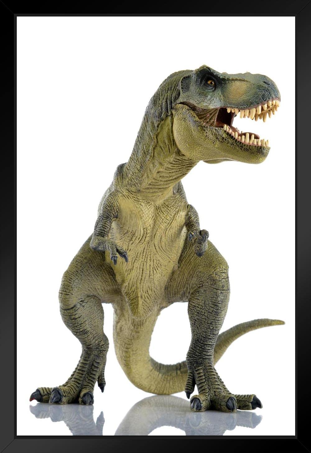 Amazon.co.jp: 生きているようなティラノサウルス レックス TRex 恐竜